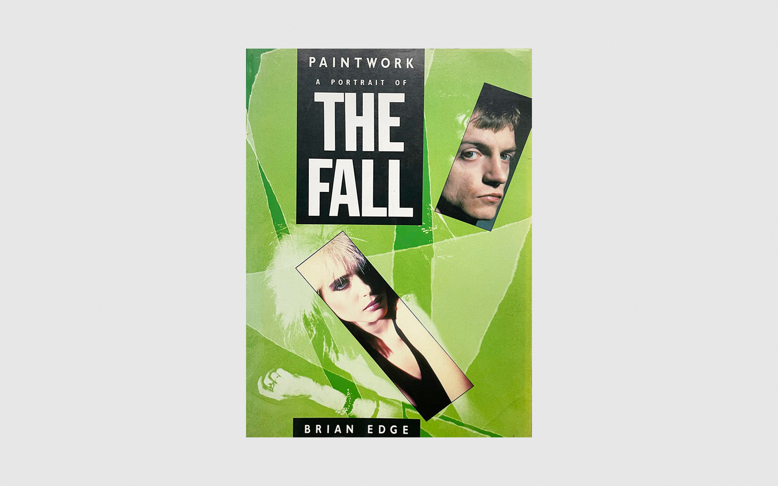 FAW, product: A portrait of The Fall (Fig. 1)