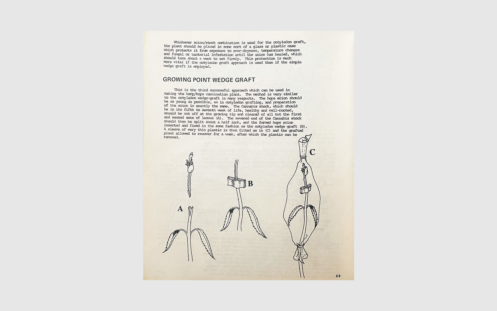 FAW, product: The Cultivator's Handbook of Marijuana (Fig. 4)