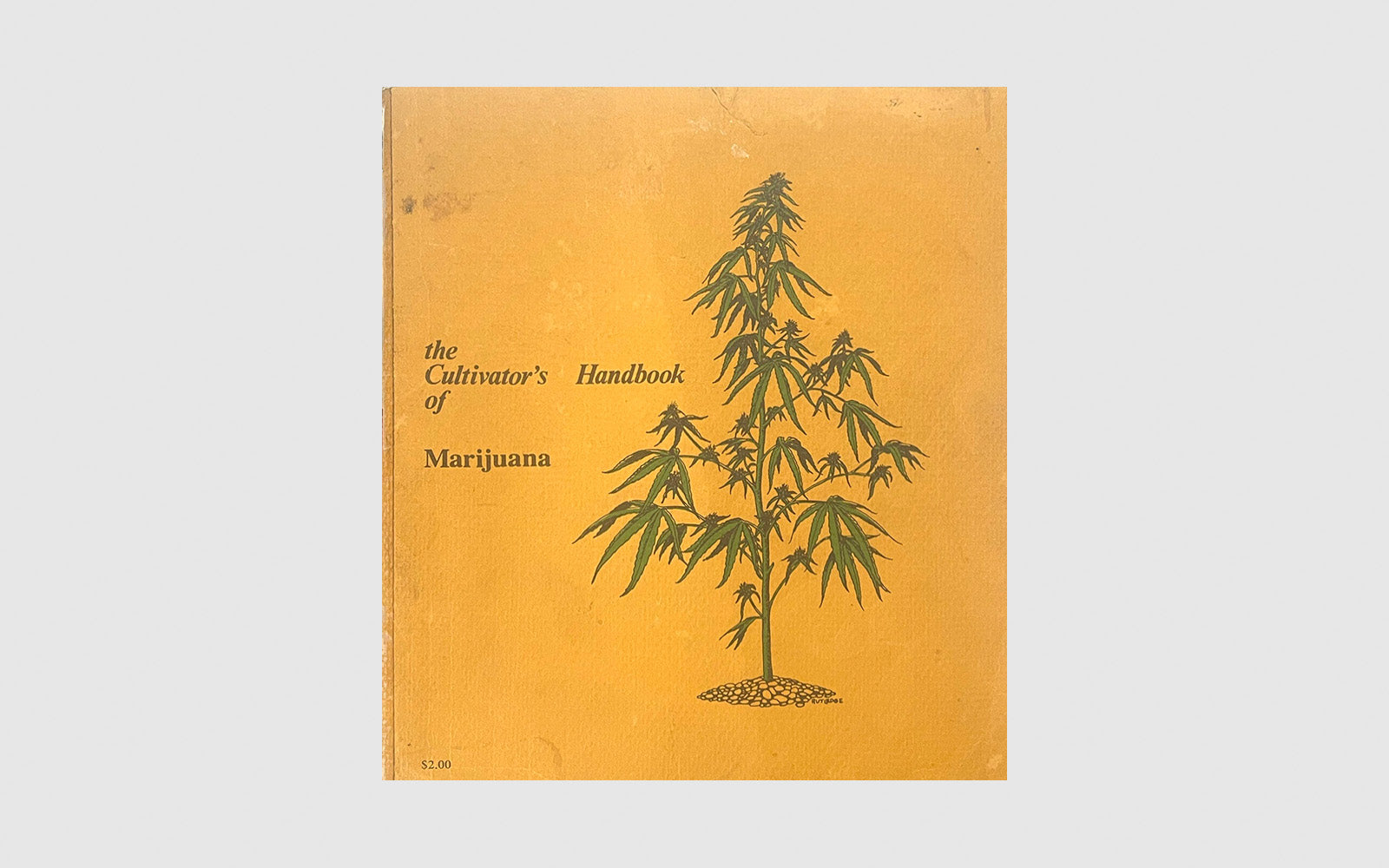 FAW, product: The Cultivator's Handbook of Marijuana (Fig. 1)