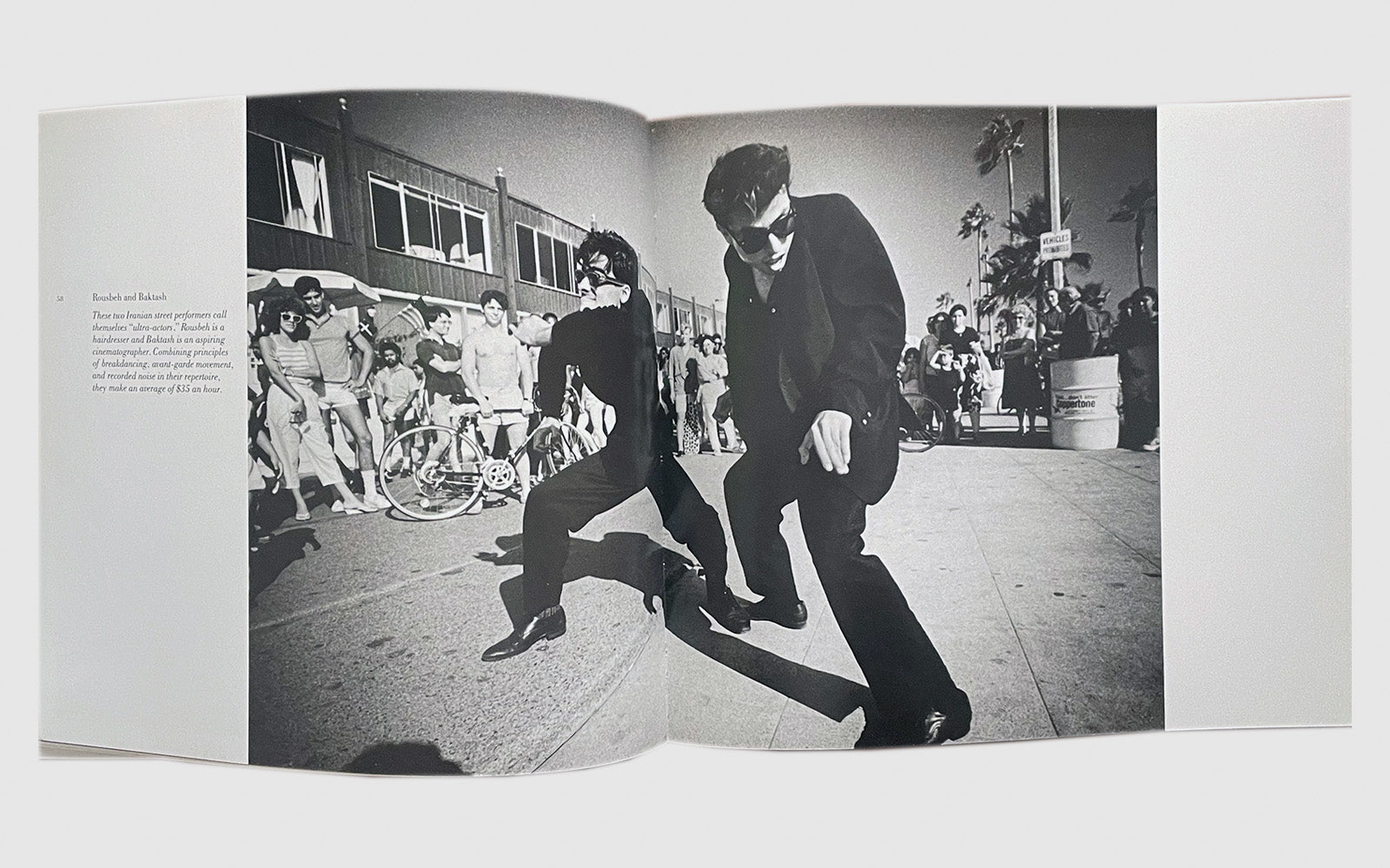 FAW, product: Venice Beach (Fig. 6)