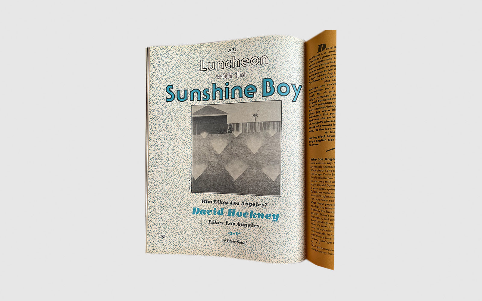 FAW, product: WET The Magazine of Gourmet Bathing #28 (Fig. 8)