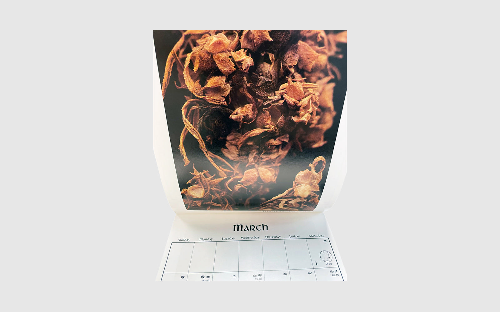 FAW, product: 1980 CANNABIS Calendar (Fig. 2)