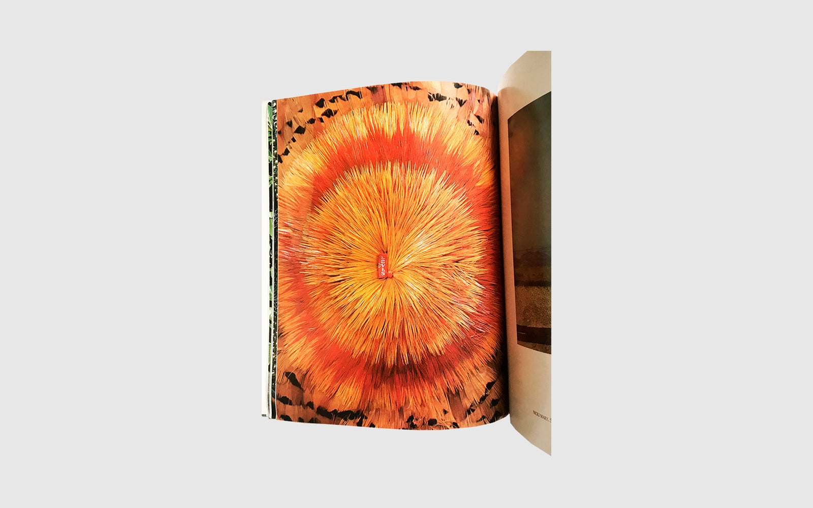 FAW, product: American Denim A New Folk Art (Fig. 5)