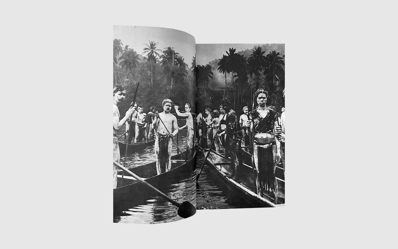 FAW, product: Apocalypse Now (Fig. 1)