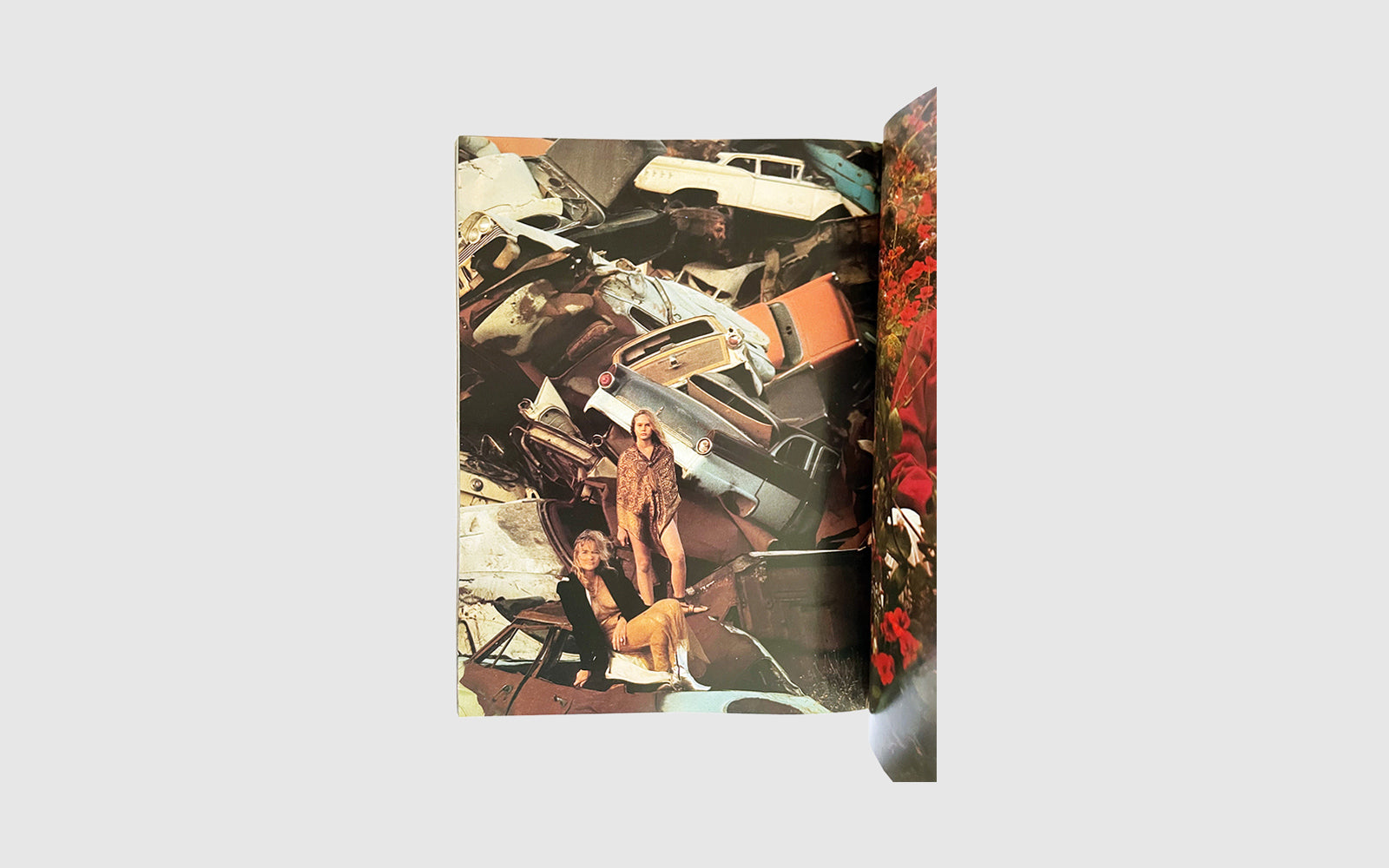 FAW, product: AQUARIAN ODYSSEY (Fig. 7)