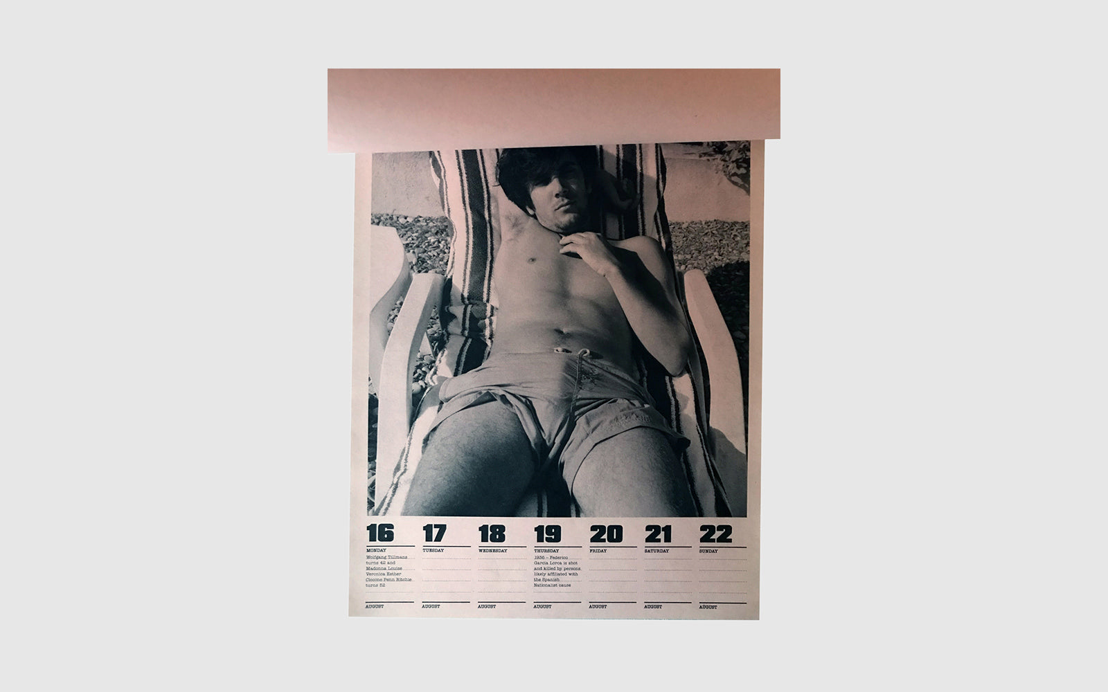 FAW, product: 2010 BUTT Calendar (Fig. 3)