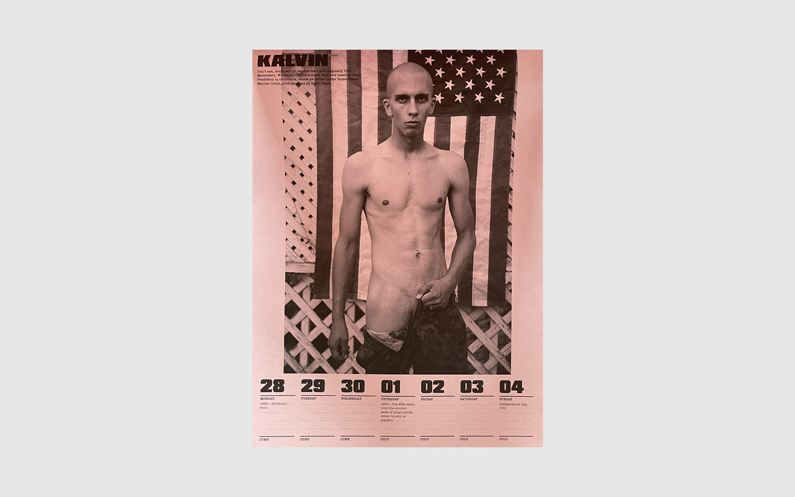 FAW, product: 2010 BUTT Calendar (Fig. 2)