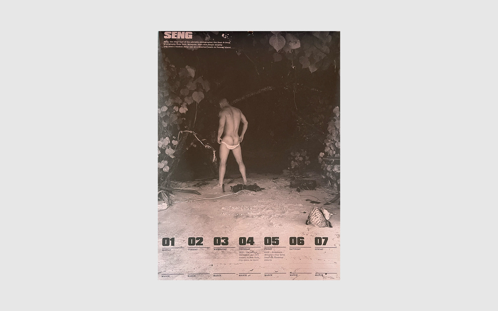 FAW, product: 2010 BUTT Calendar (Fig. 8)
