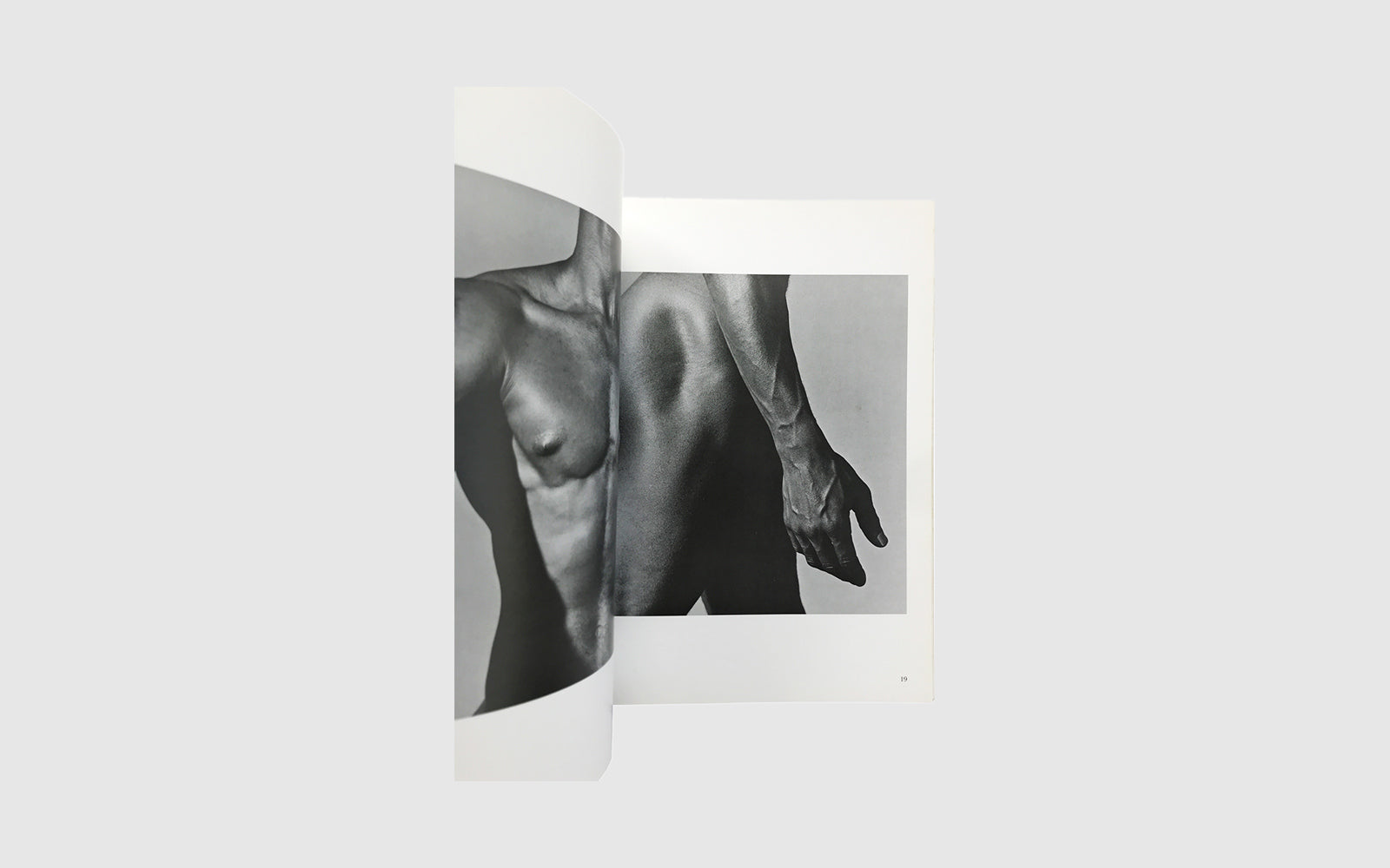 FAW, product: BLACK MALES (Fig. 5)