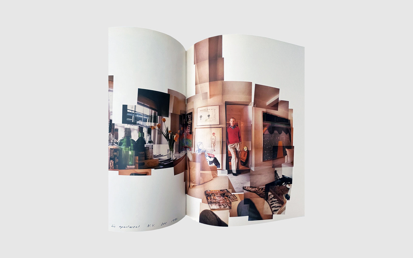 FAW, product: Cameraworks (Fig. 5)