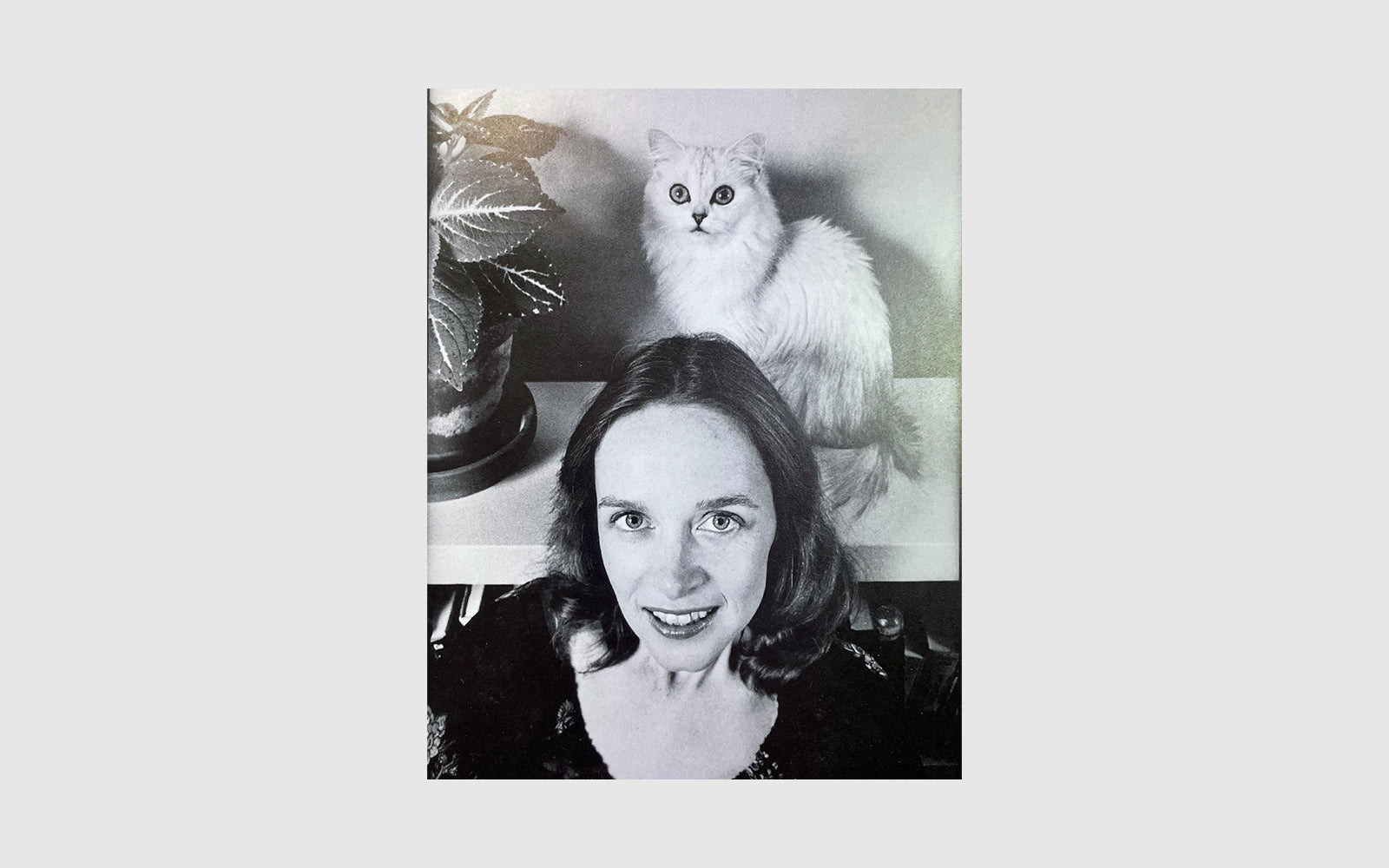 FAW, product: CAT PEOPLE (Fig. 1)