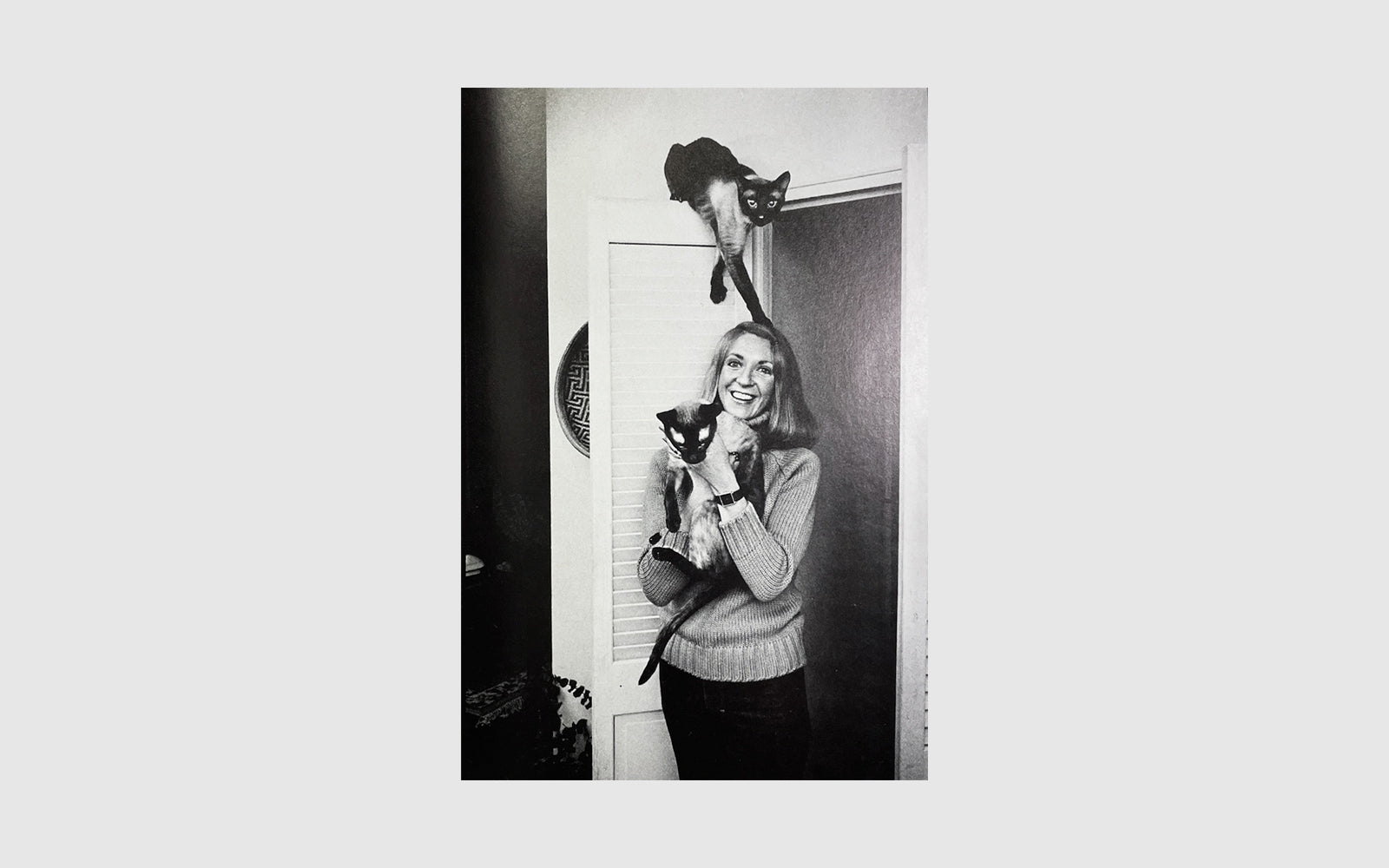 FAW, product: CAT PEOPLE (Fig. 2)