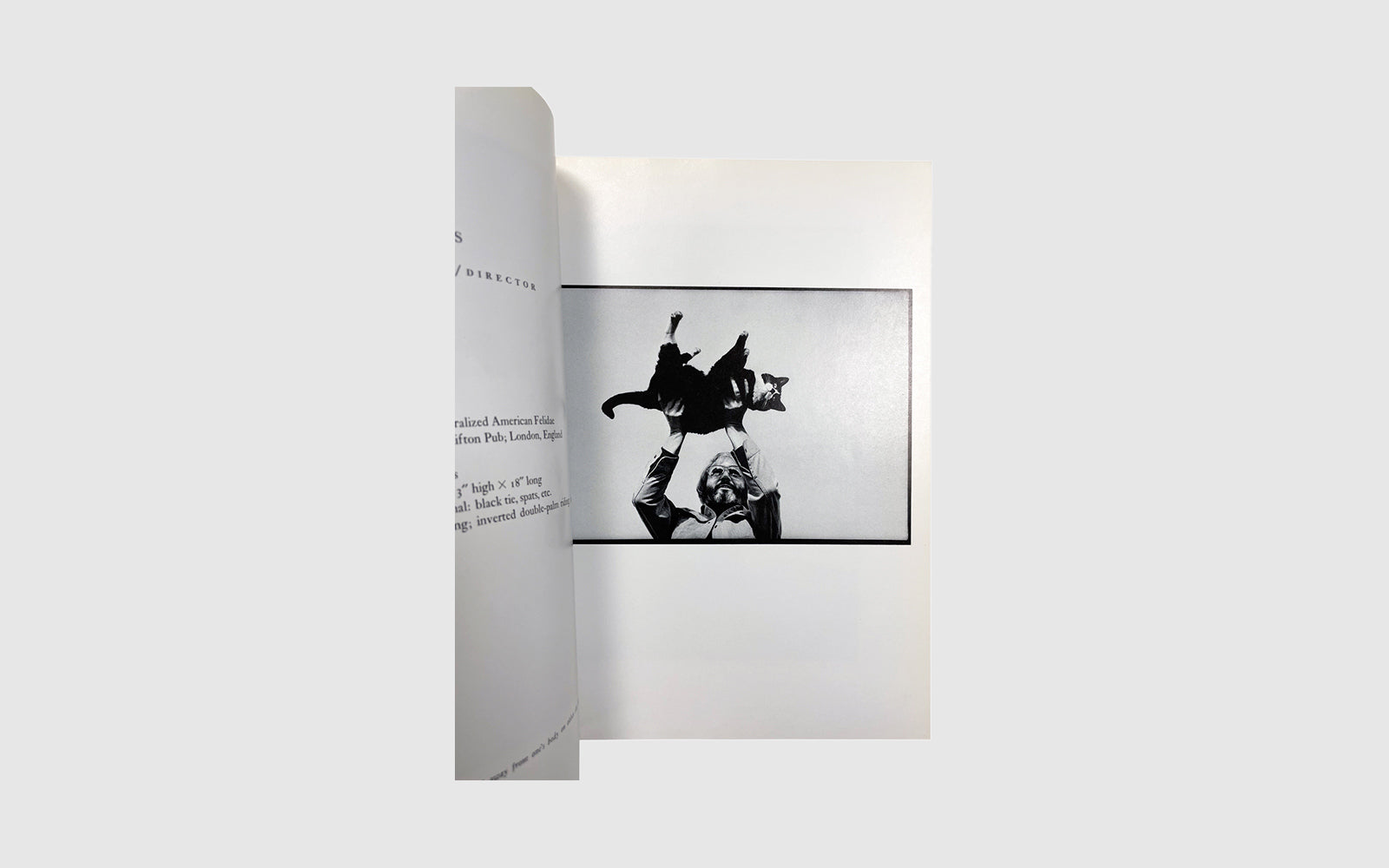 FAW, product: CAT PEOPLE (Fig. 4)