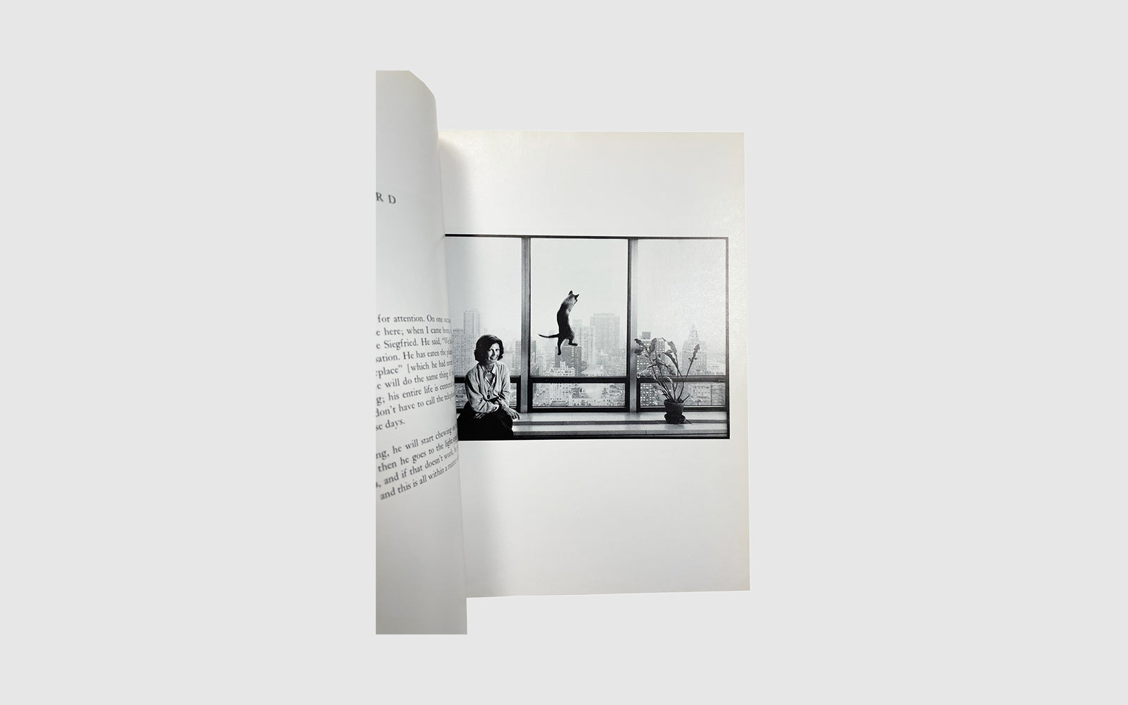 FAW, product: CAT PEOPLE (Fig. 6)