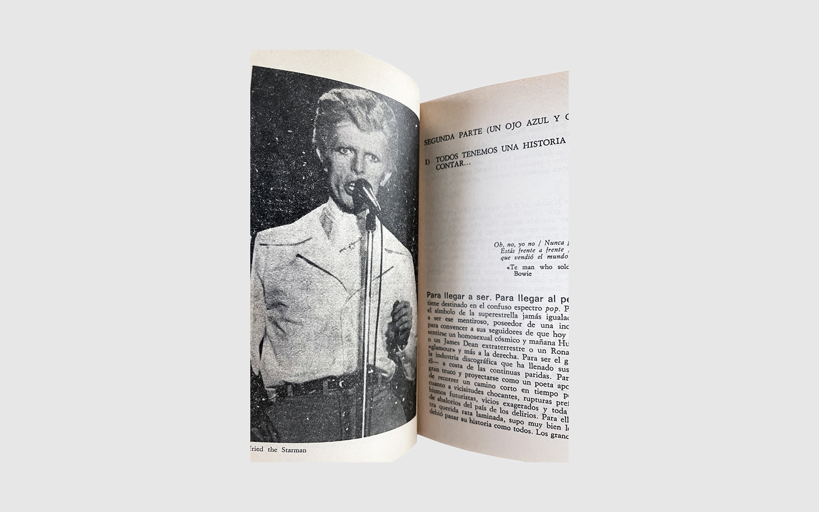 FAW, product: David Bowie (Fig. 3)