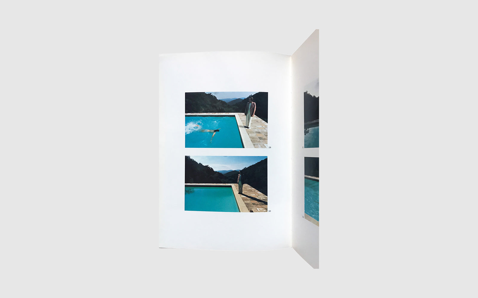 FAW, product: Photographs (Fig. 2)