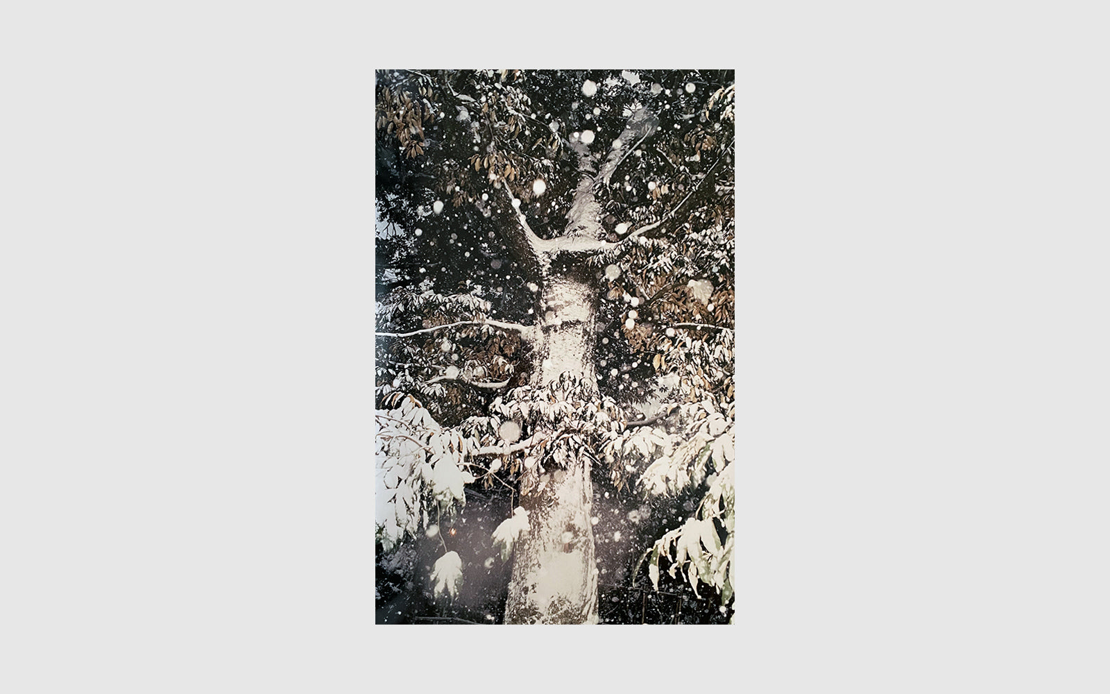 FAW, product: Do you know what I mean (Fig. 4)