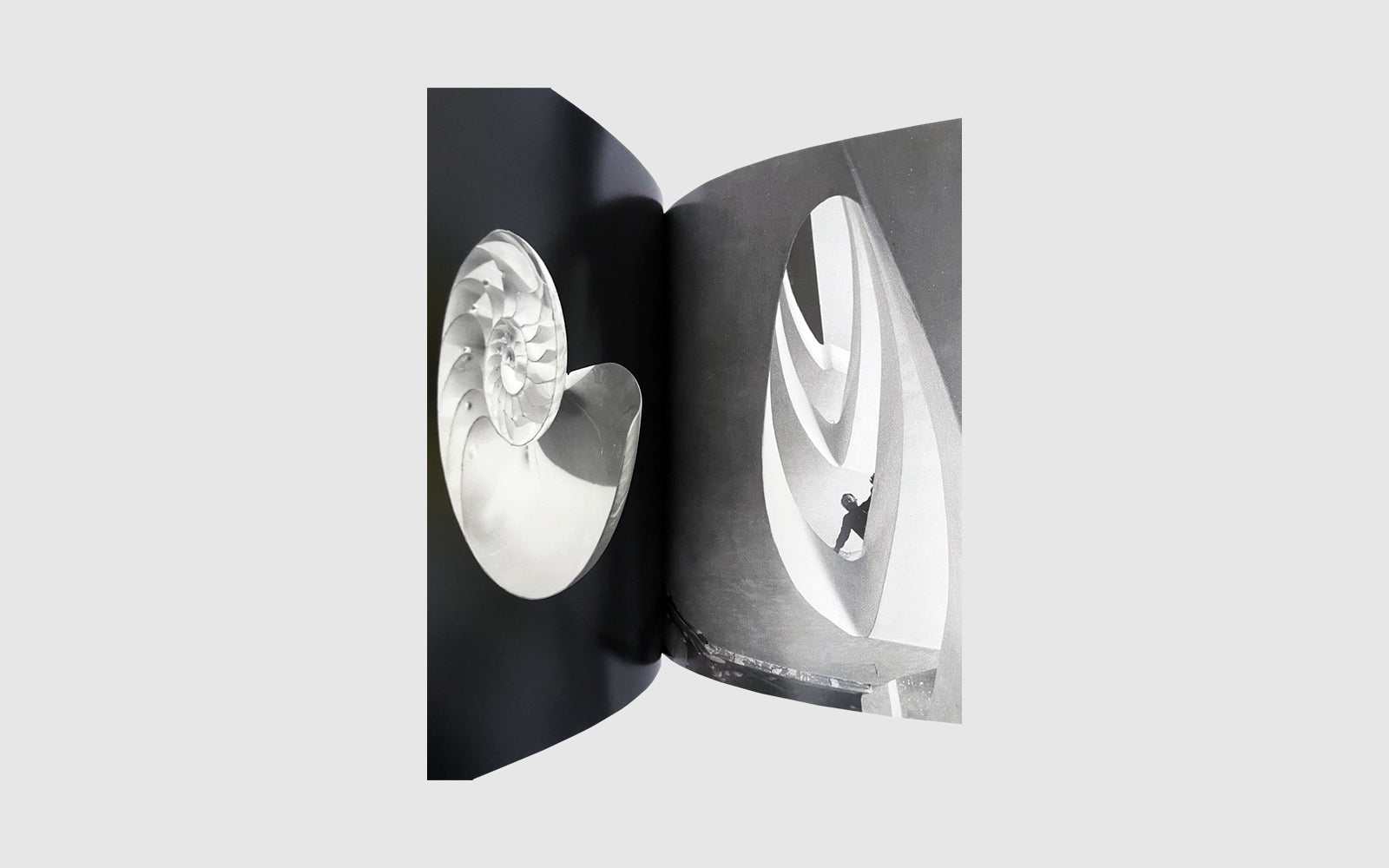 FAW, product: ARQUITECTURAS (Fig. 7)