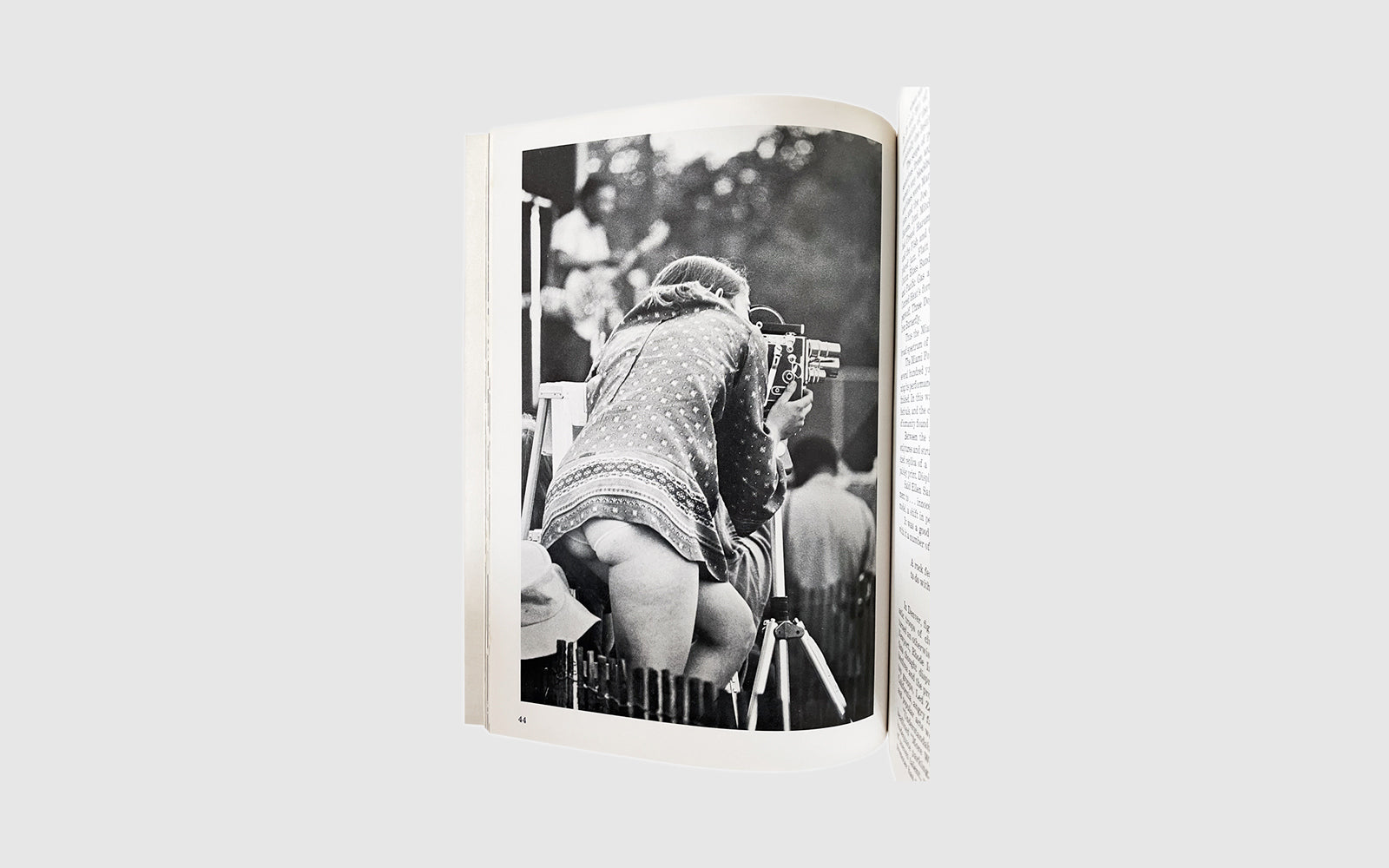 FAW, product: FESTIVAL! (Fig. 6)