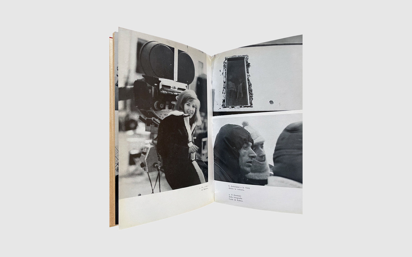 FAW, product: Il Deserto Rosso di Michelangelo Antonioni (Fig. 7)