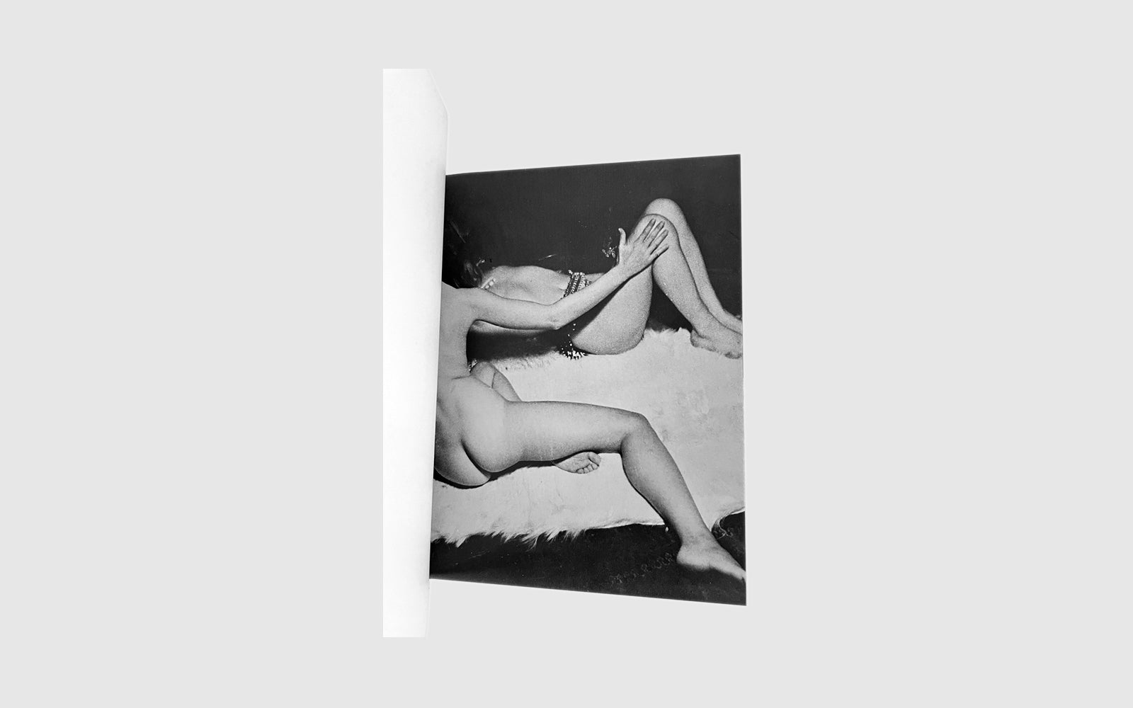 FAW, product: LESBOS (Fig. 4)