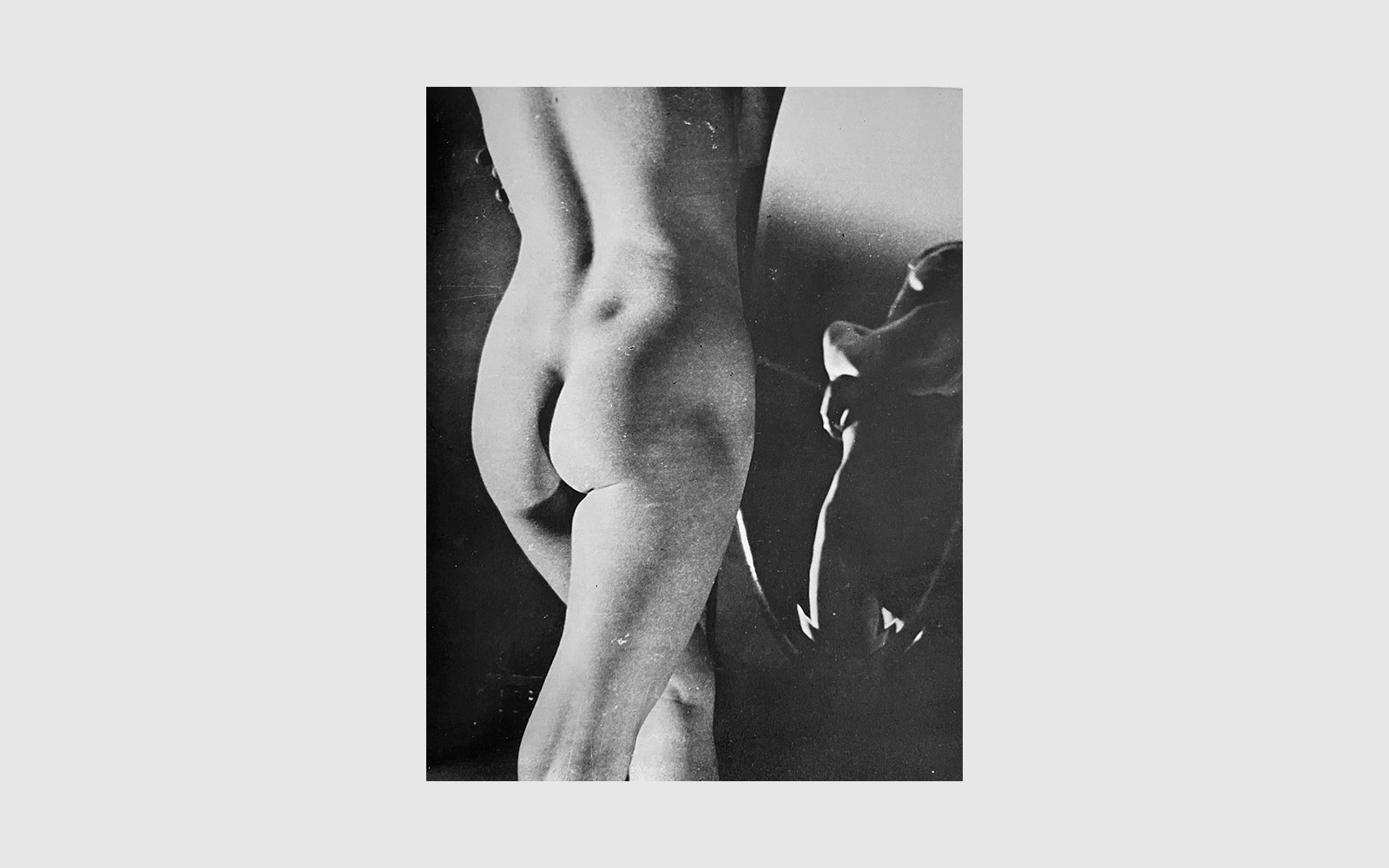 FAW, product: LESBOS (Fig. 5)