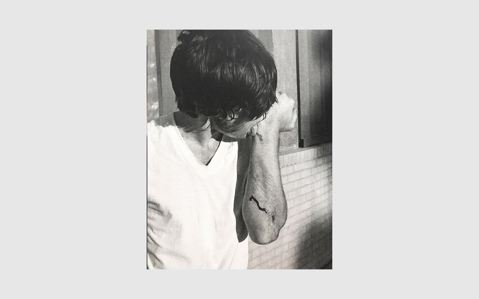 FAW, product: Lick (Fig. 4)