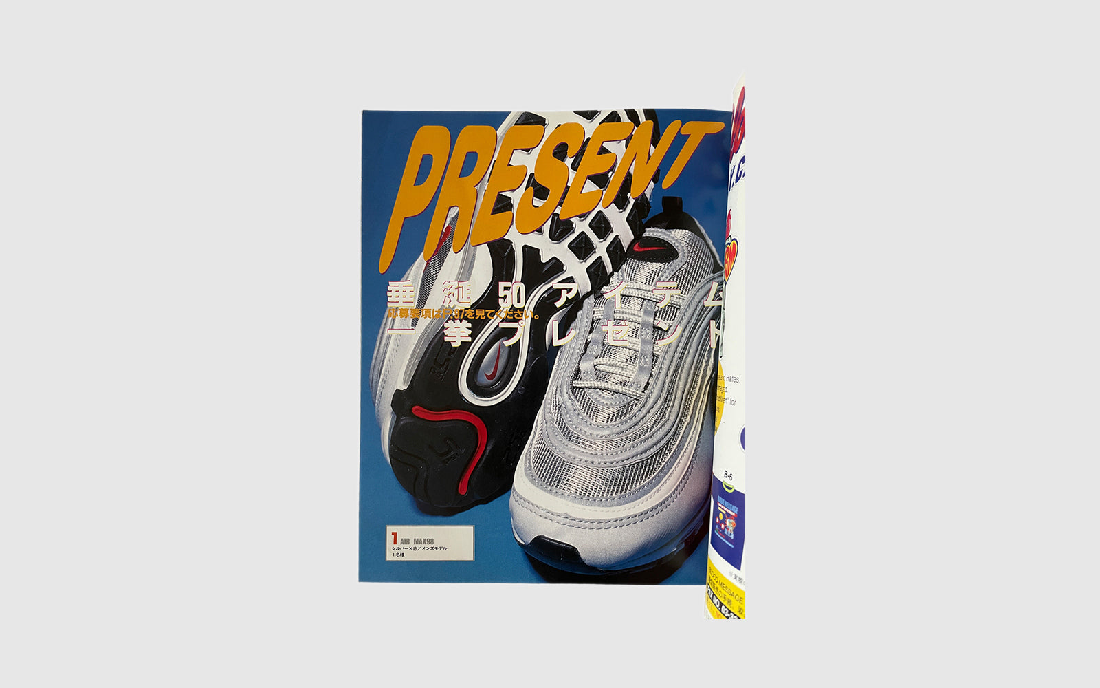 FAW, product: NIKE BIBLE'97 (Fig. 1)