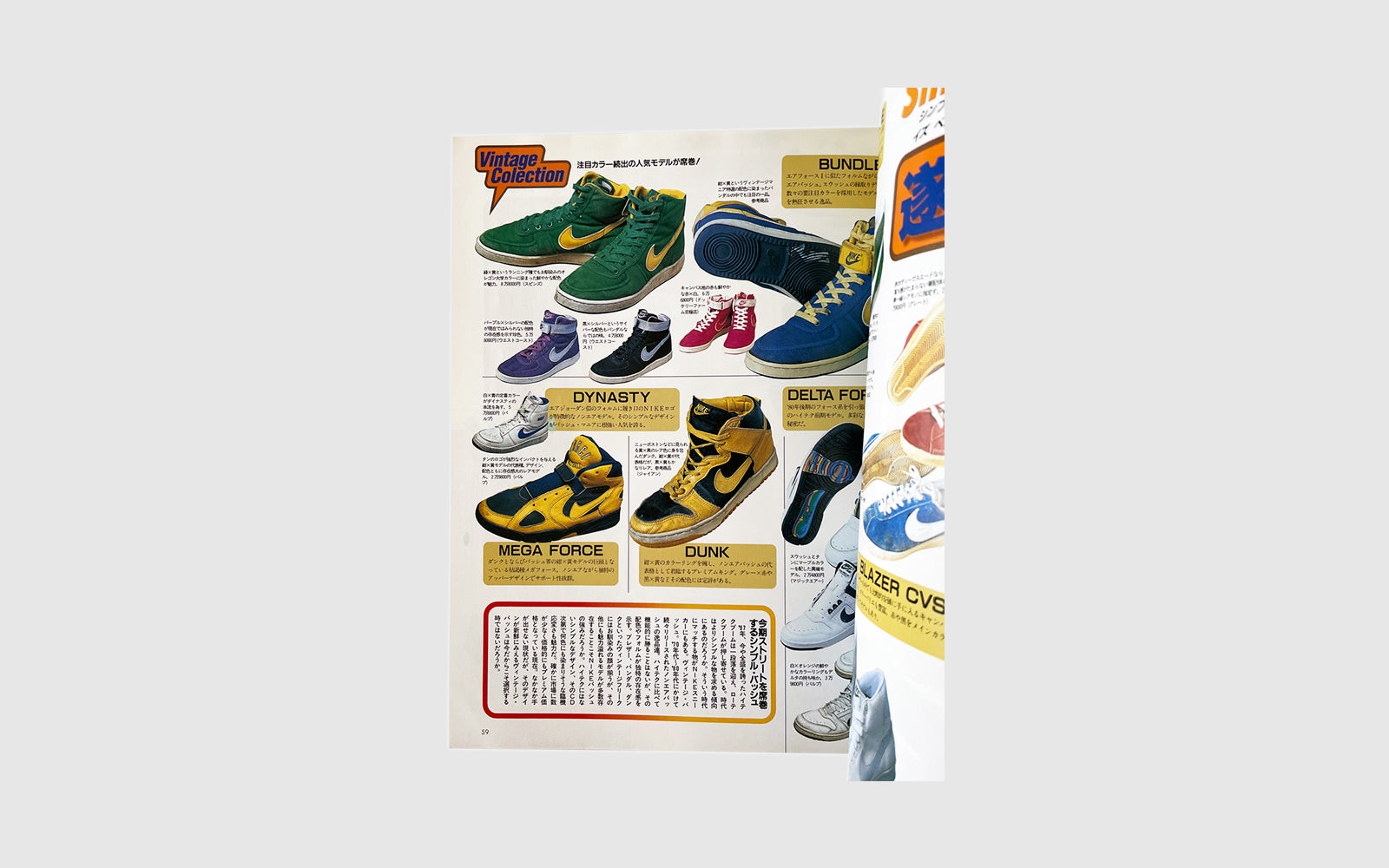 FAW, product: NIKE BIBLE'97 (Fig. 2)