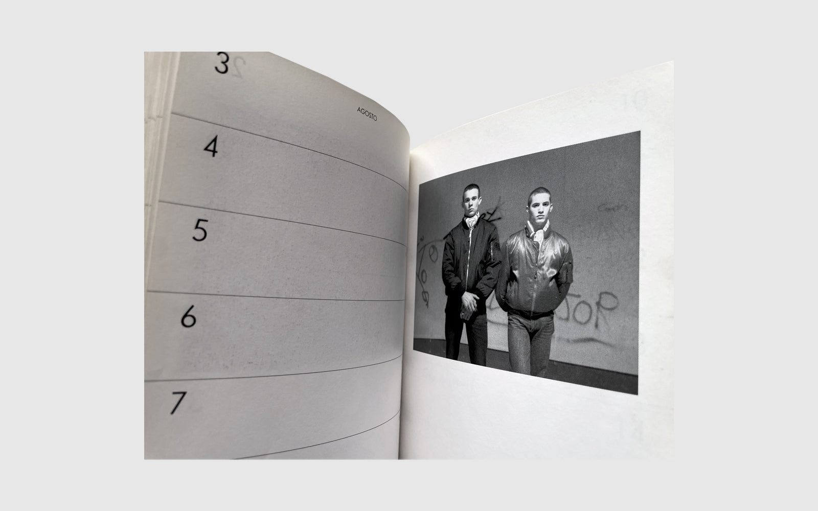 FAW, product: PAREJAS (Fig. 8)