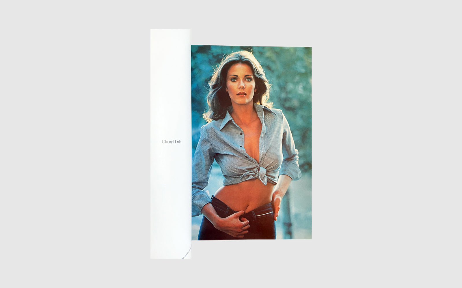 FAW, product: Poster Girls (Fig. 4)