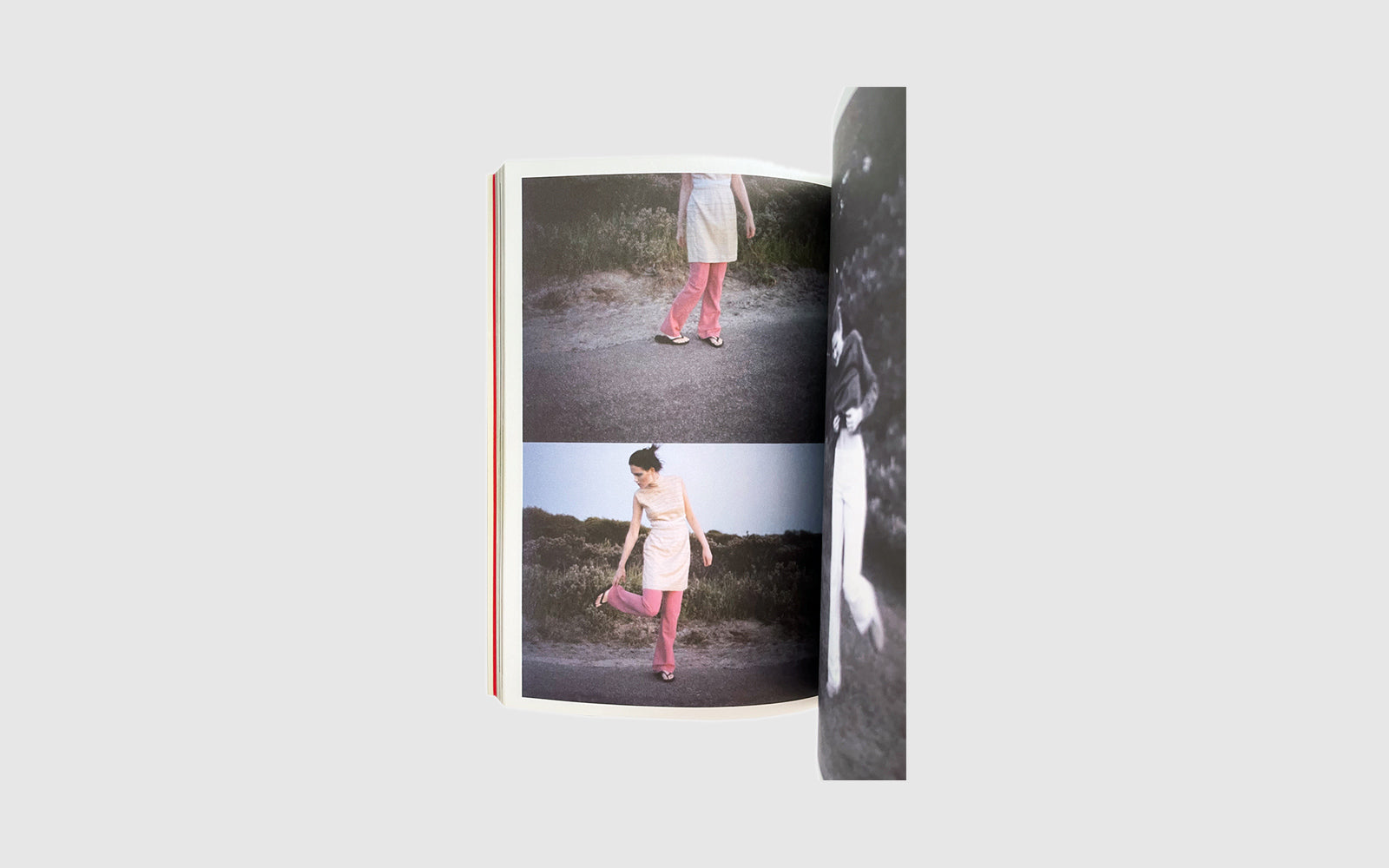 FAW, product: Purple Fashion No.4 (Fig. 4)