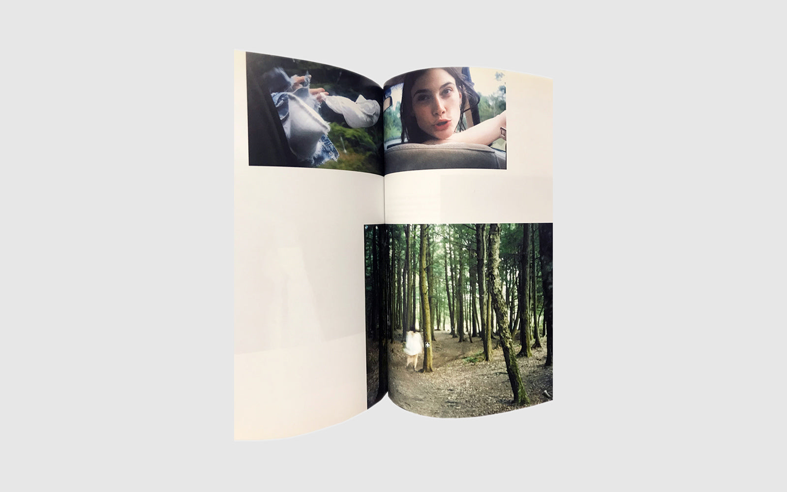 FAW, product: Purple Fashion No.3 (Fig. 2)