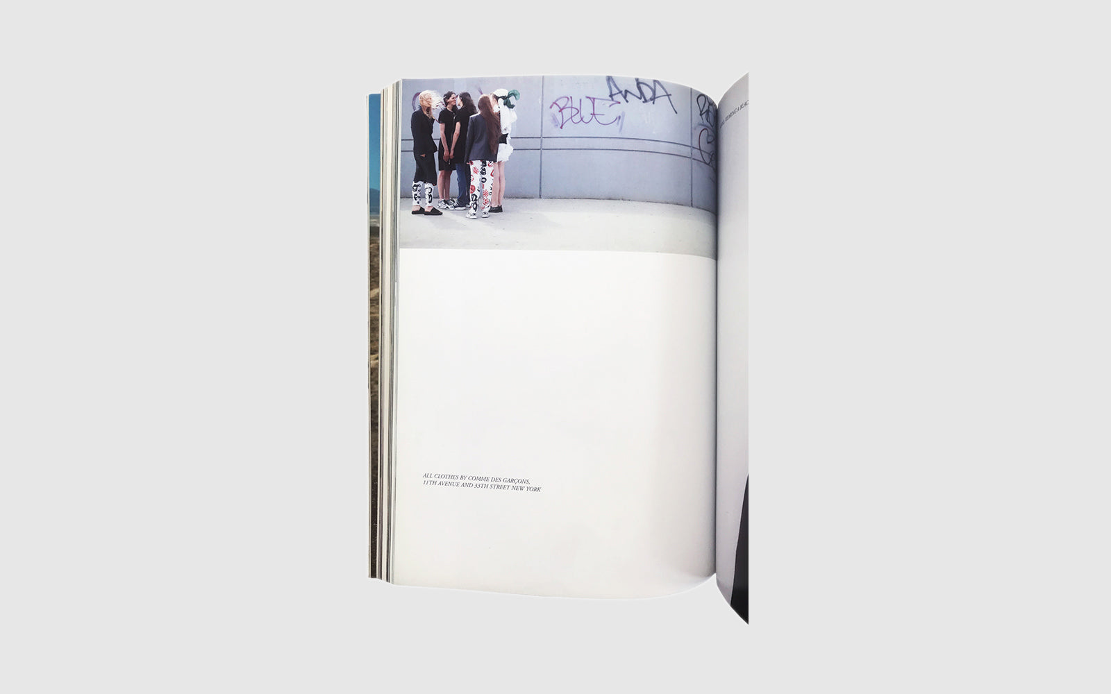 FAW, product: Purple No.6 (Fig. 3)