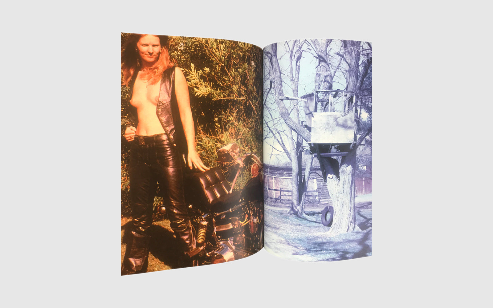 FAW, product: Purple No.6 (Fig. 6)