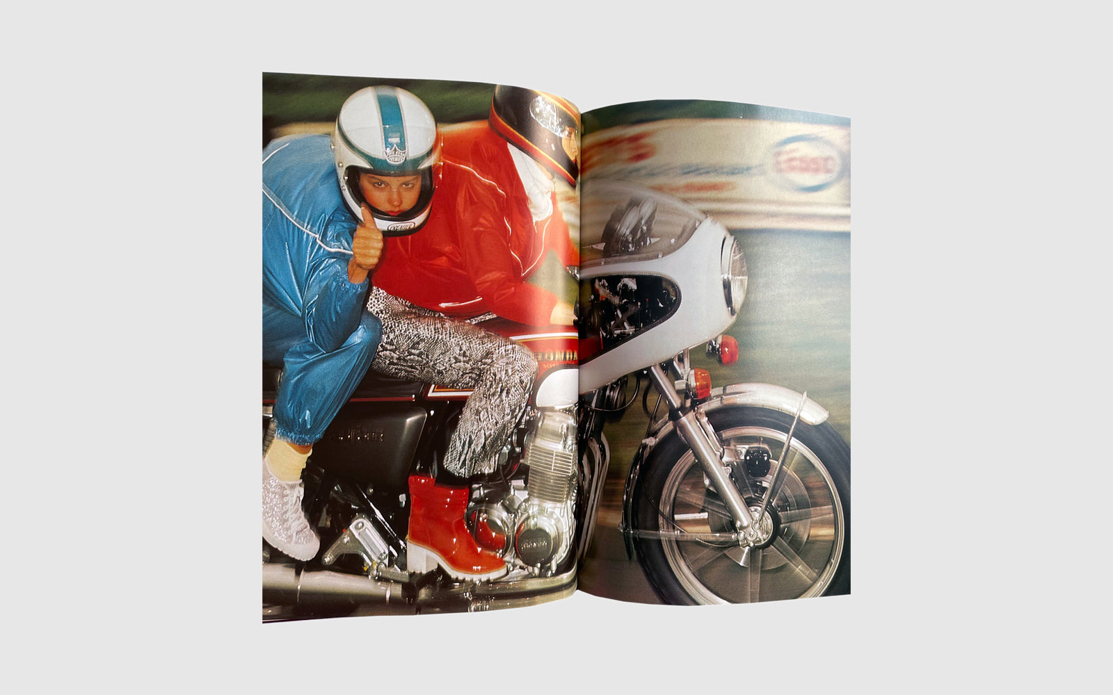 FAW, product: Sisters under the skin (Fig. 1)