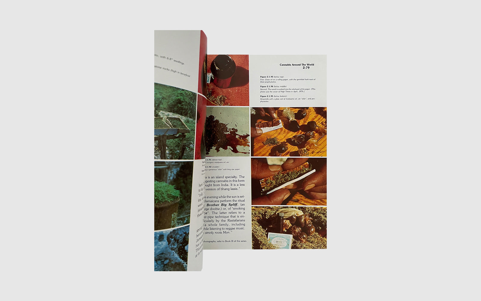 FAW, product: The Great Books of Cannabis Vol. I Book II (Fig. 4)