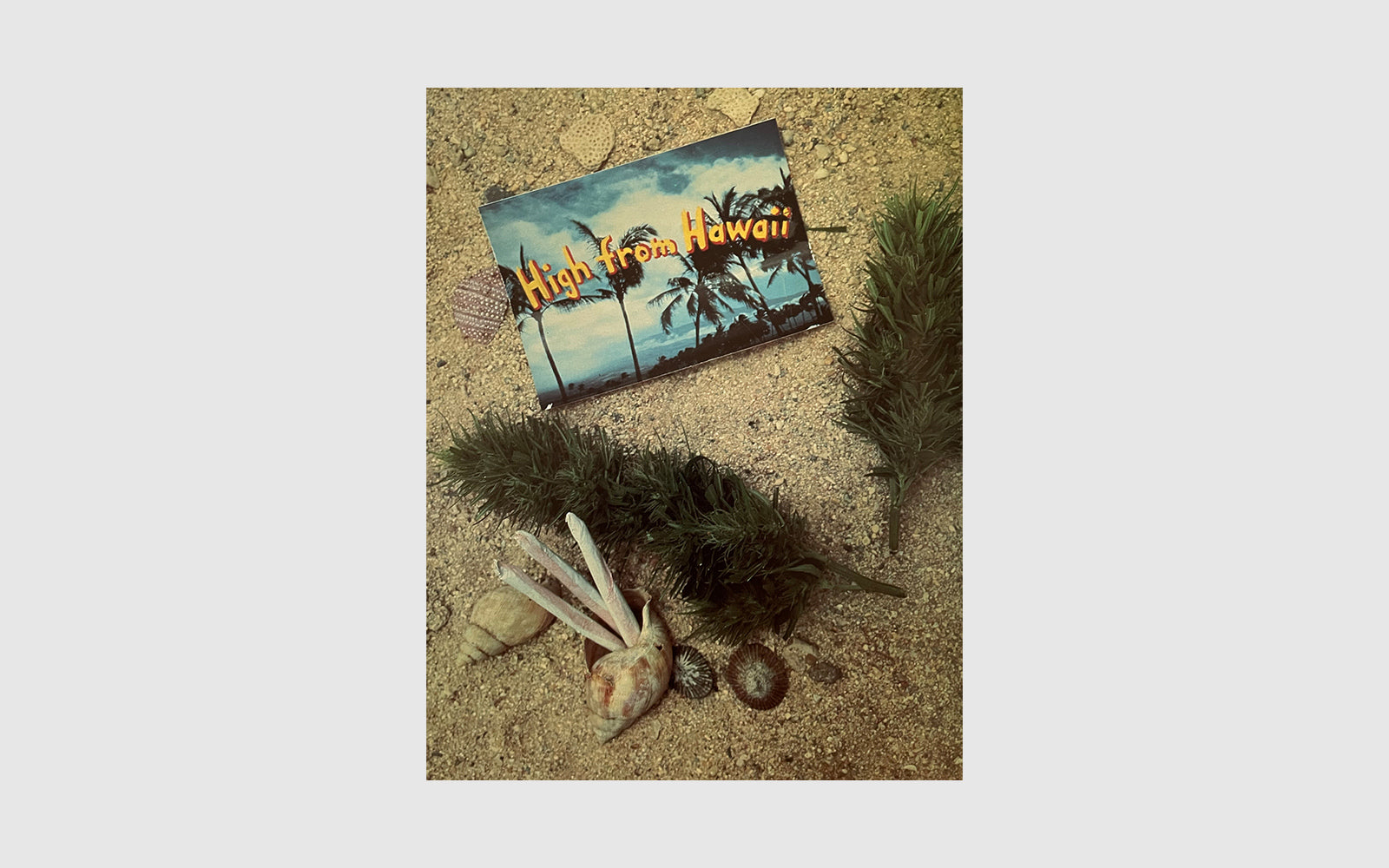 FAW, product: The Great Books of Cannabis Vol. I Book II (Fig. 7)