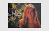 The Virgin Suicides Photo Book