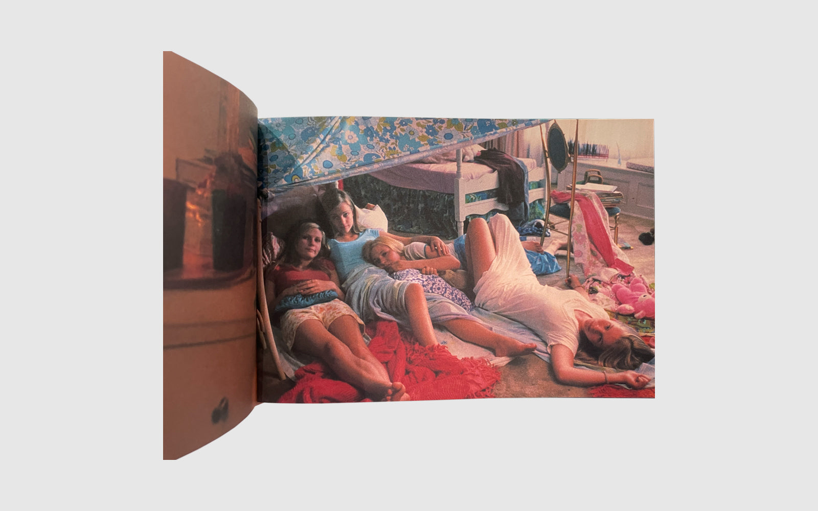 FAW, product: The Virgin Suicides Photo Book (Fig. 8)
