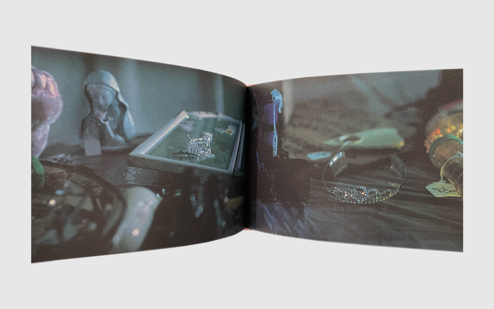 FAW, product: The Virgin Suicides Photo Book (Fig. 9)