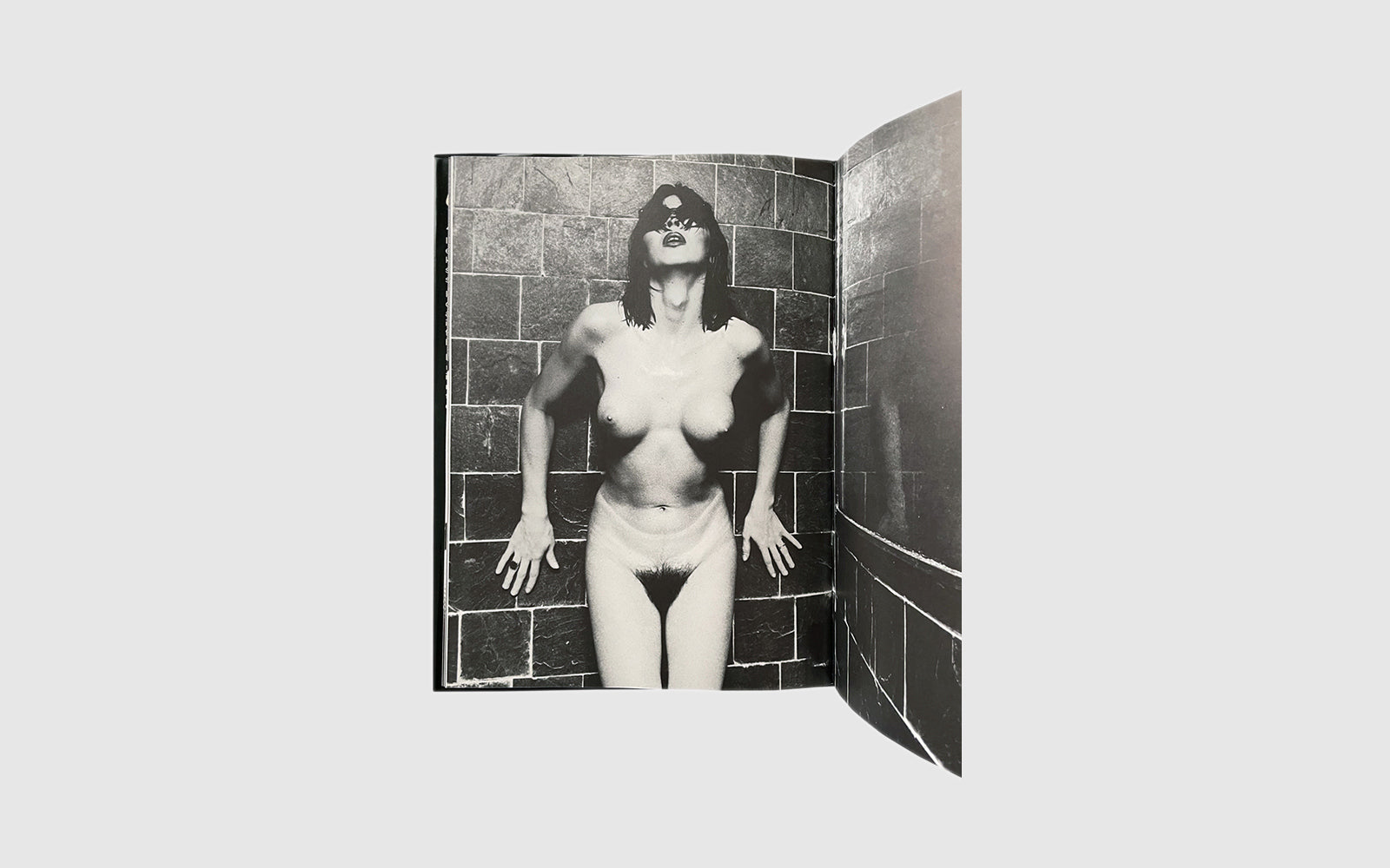 FAW, product: The Ultimate Angels (Fig. 6)