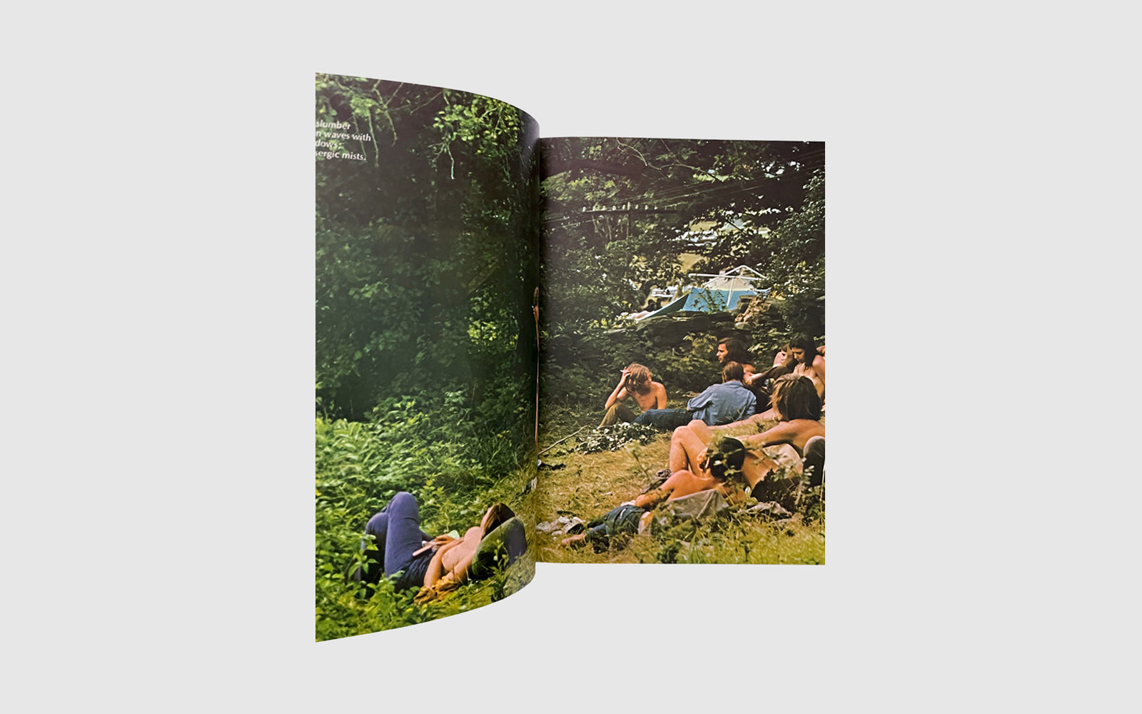 FAW, product: Woodstock, 3 days of pace & music (Fig. 2)