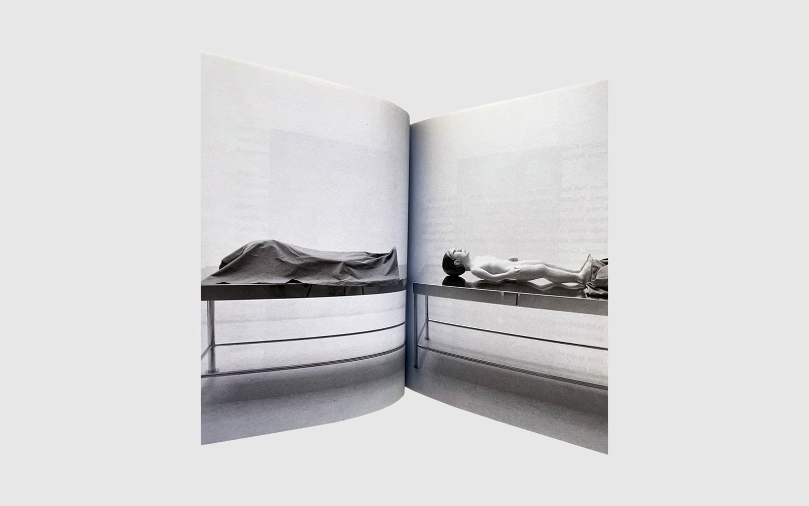 FAW, product: babies & bambies arti et amicitiae (Fig. 3)